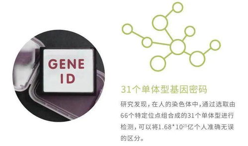 華大基因安馨可基因檢測系列產(chǎn)品全新上市，開啟精準(zhǔn)健康管理新時(shí)代