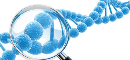 腫瘤指導用藥檢測 為何需要檢測多基因且費用較高