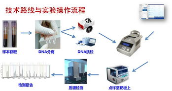 淺談腫瘤基因檢測 精準(zhǔn)醫(yī)療時代的核心鑰匙