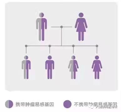 健康托付，關(guān)愛彼此 腫瘤基因檢測在療養(yǎng)院中的守護與溫度
